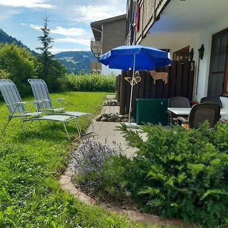 Schneeheide Im Sonnenhang
